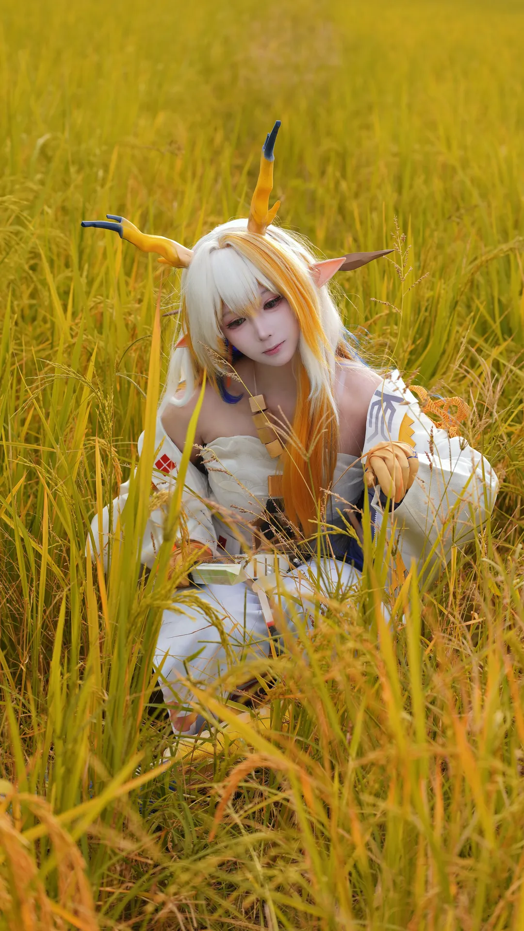 cosplay, 二次元摄影, 黍cos, 明日方舟, 稻野外景 - 第1张
