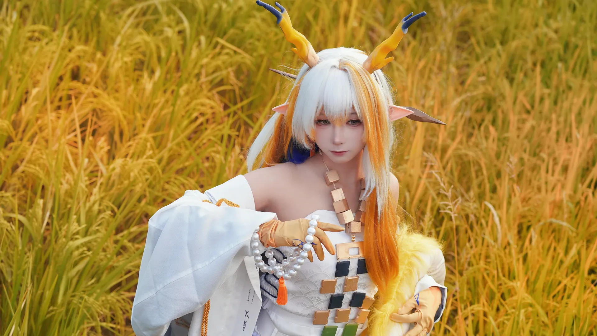 cosplay, 二次元摄影, 黍cos, 明日方舟, 稻野外景 - 第5张