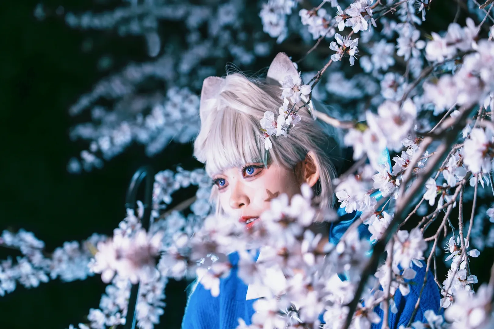 琳妮特cos, cosplay正片, 玉渊潭樱花, 夜樱摄影, 日系少女风 - 第5张