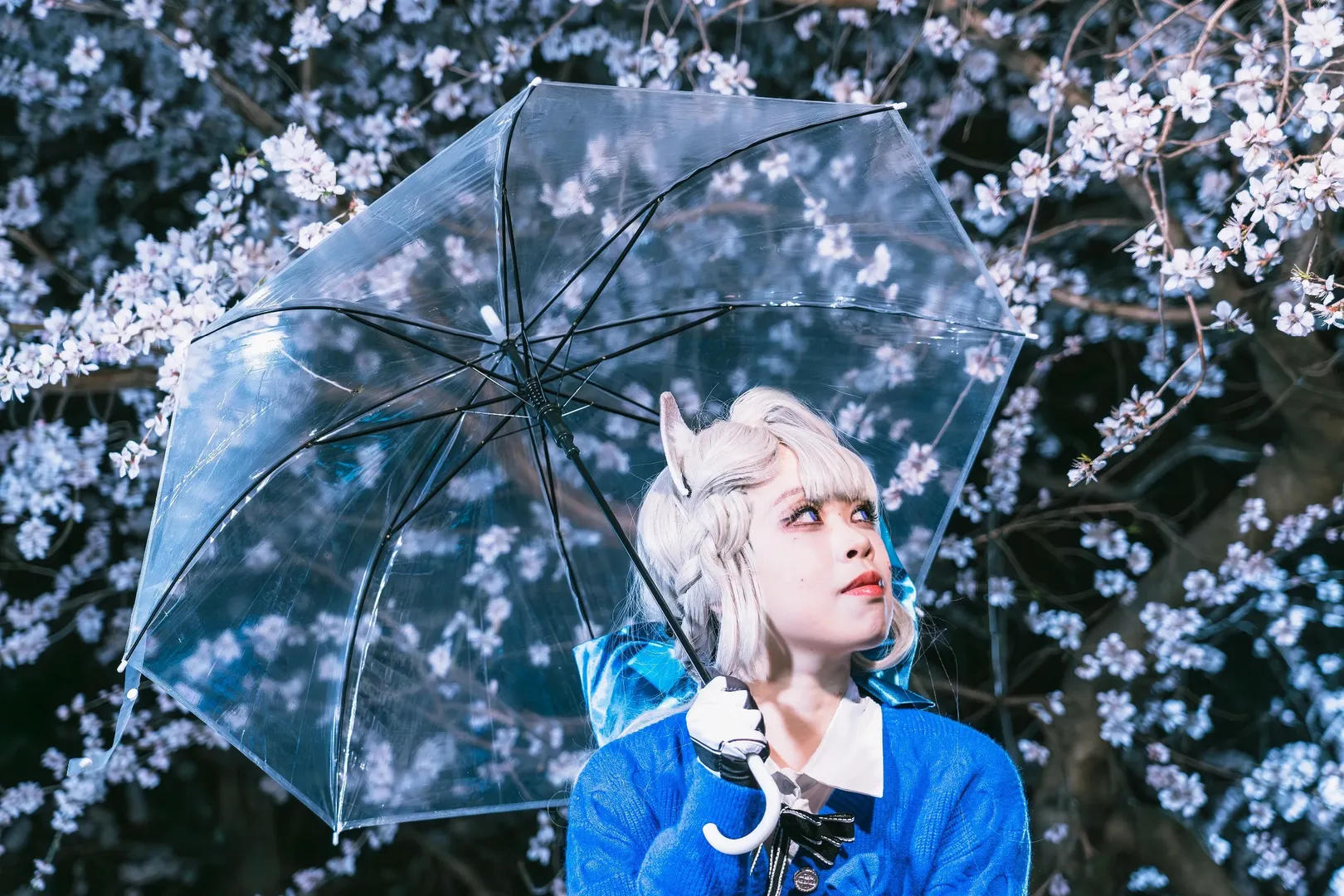 琳妮特cos, cosplay正片, 玉渊潭樱花, 夜樱摄影, 日系少女风 - 第7张