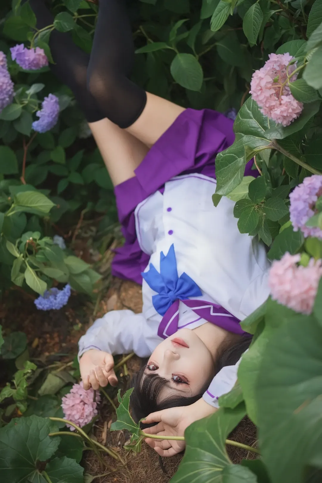 散华礼弥cos, cosplay日常, 散华礼弥, 绣球花写真, 水手服少女 - 第1张