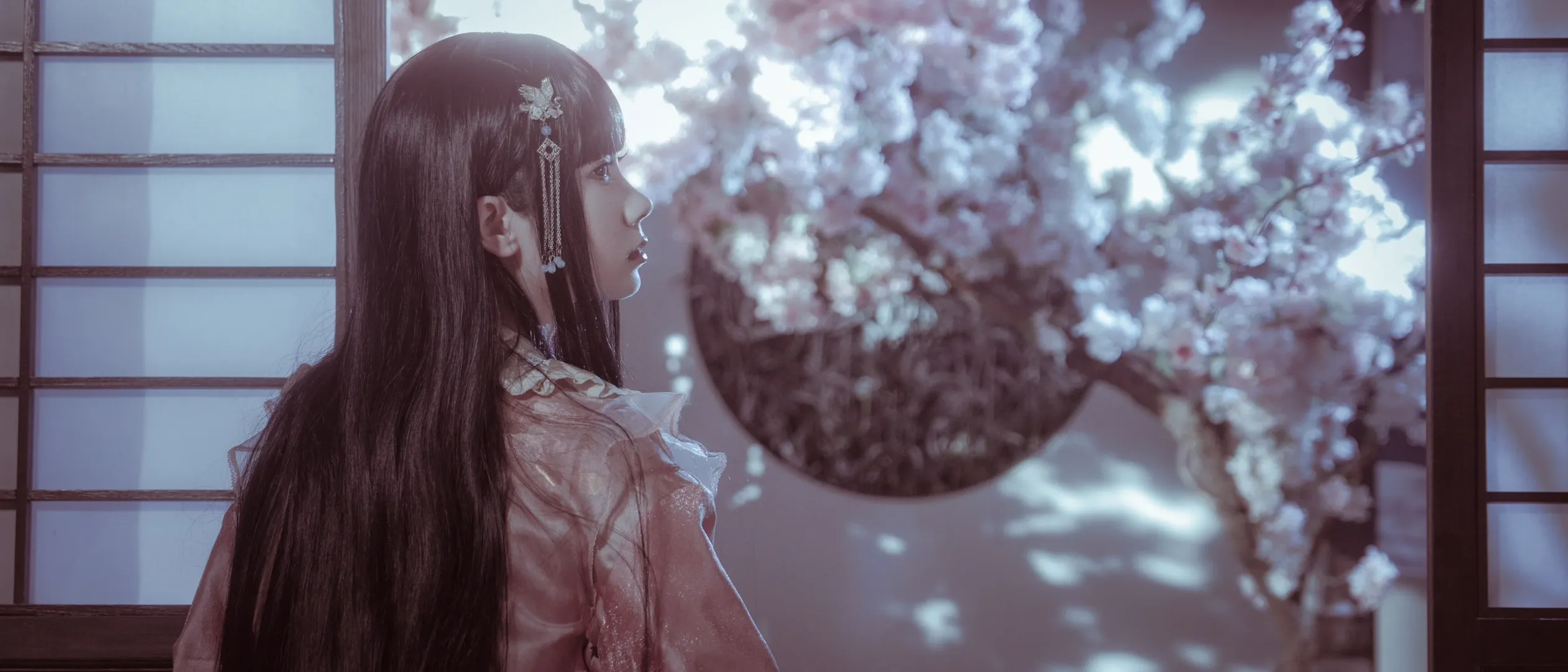 东方Project, 和风摄影, 古风Cosplay, 蓬莱山辉夜cos, 竹取物语 - 第10张