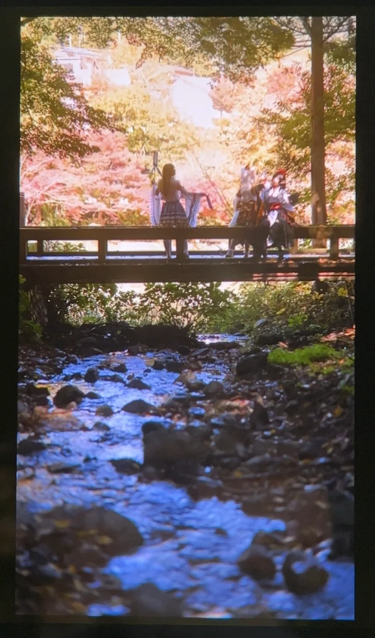 東方Project, 射命丸文 コスプレ, コスプレ撮影, 東方風神録, 紅葉ロケ - 4枚目