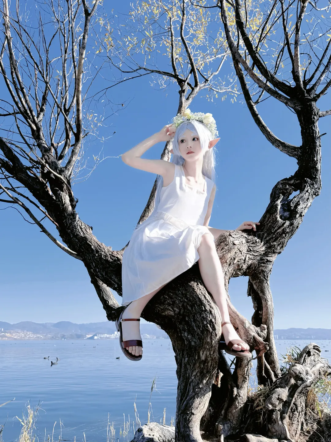 葬送的芙莉莲, 芙莉莲cos, cosplay日常, 精灵cos, 修行时代