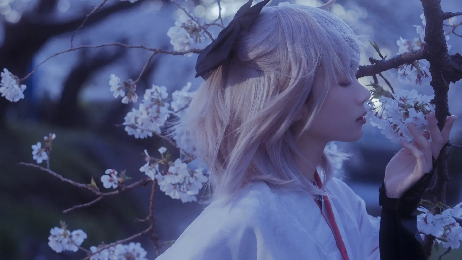 Fate/Grand Order, 和风摄影, 冲田总司cos, 樱吹雪, 物哀 - 第11张