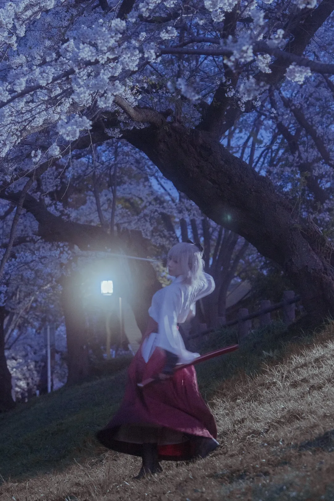 Fate/Grand Order, 和风摄影, 冲田总司cos, 樱吹雪, 物哀 - 第4张