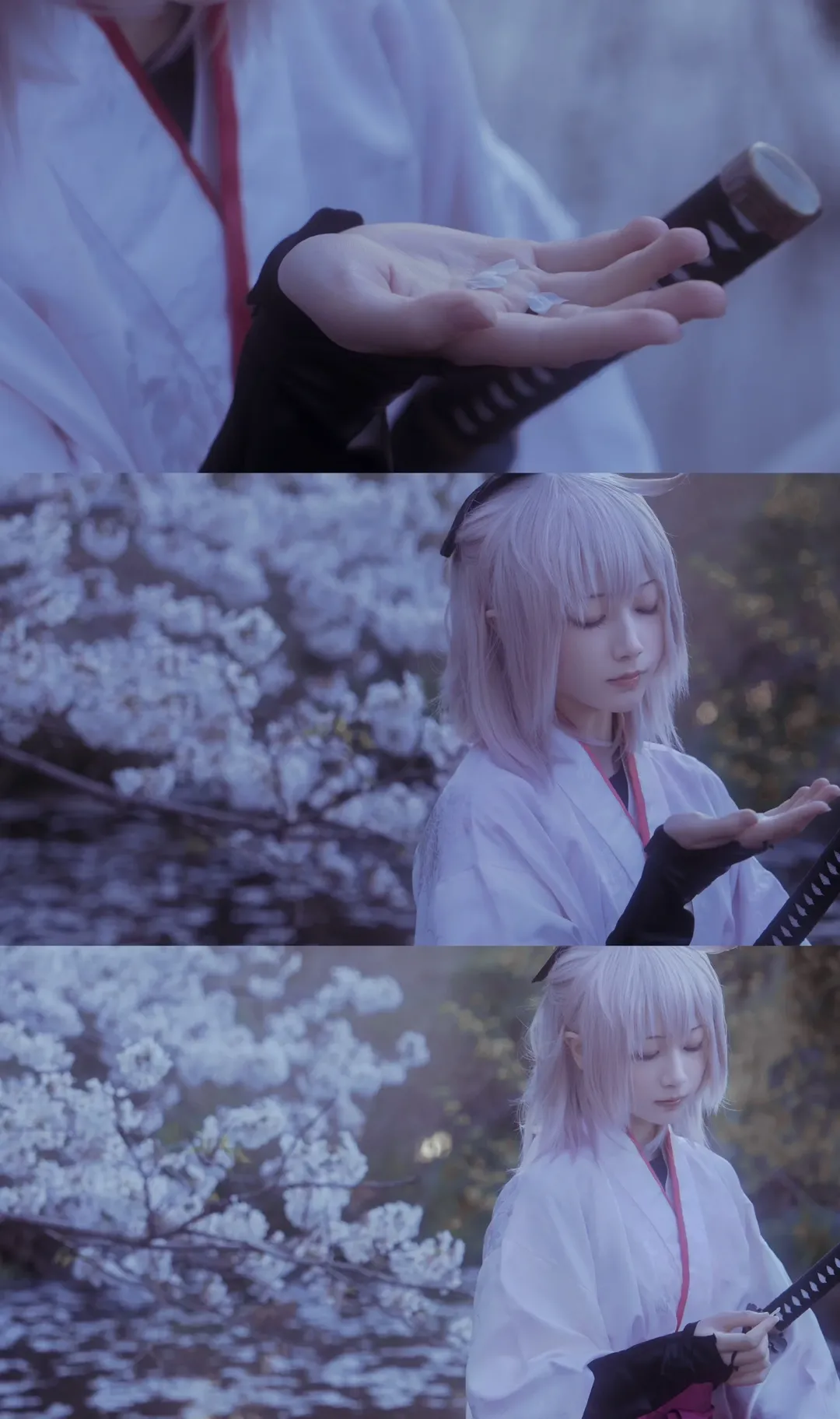 Fate/Grand Order, 和风摄影, 冲田总司cos, 樱吹雪, 物哀 - 第5张