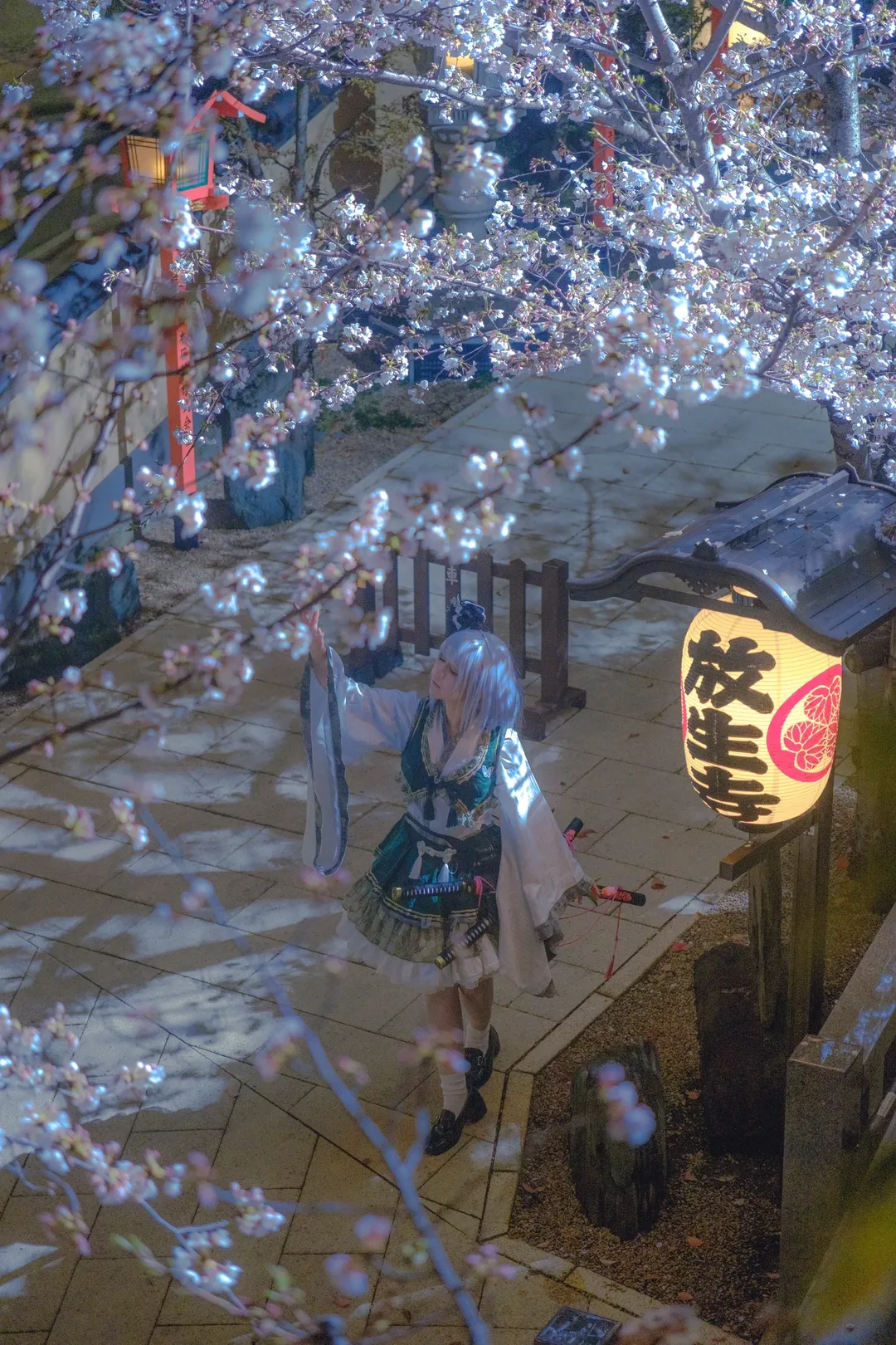 二次元摄影, 氛围感人像, 京都约拍, 关西cos摄影, 夜樱和风