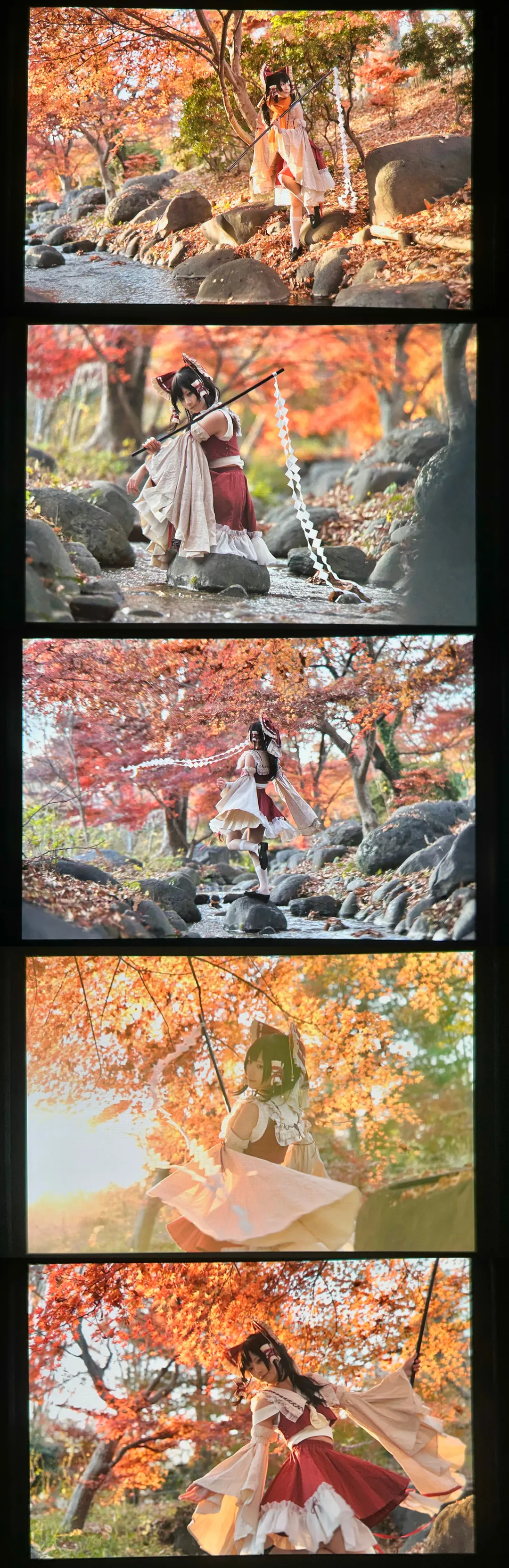 角色扮演, 博麗靈夢cos, 東方project, 紅葉攝影, 秋日戶外 - 第8張