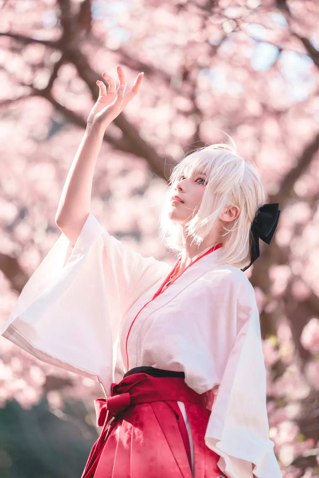 二次元摄影, Fate/Grand Order, 冲田总司cos, 和风cosplay, 樱花写真 - 第2张