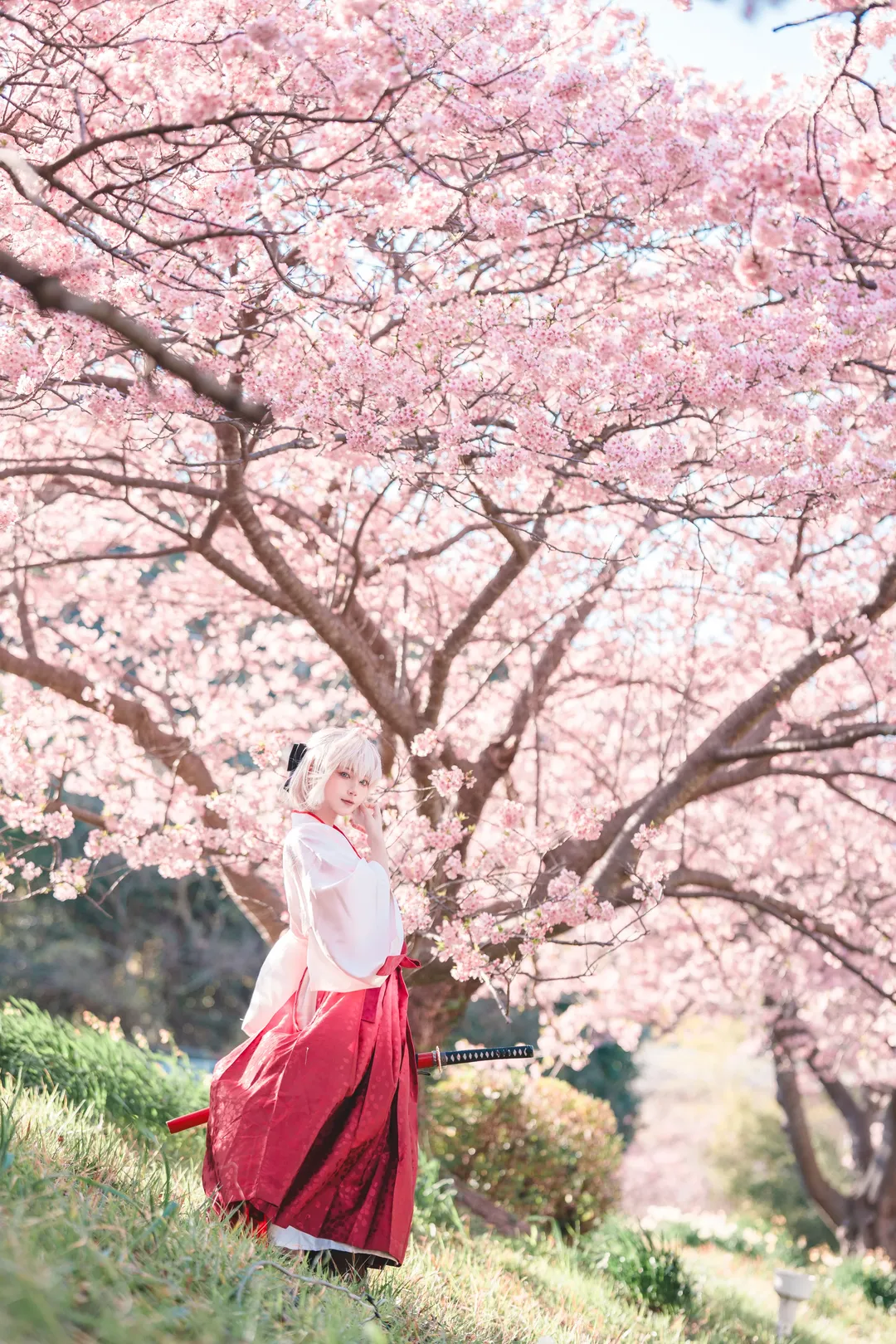 二次元摄影, Fate/Grand Order, 冲田总司cos, 和风cosplay, 樱花写真 - 第3张