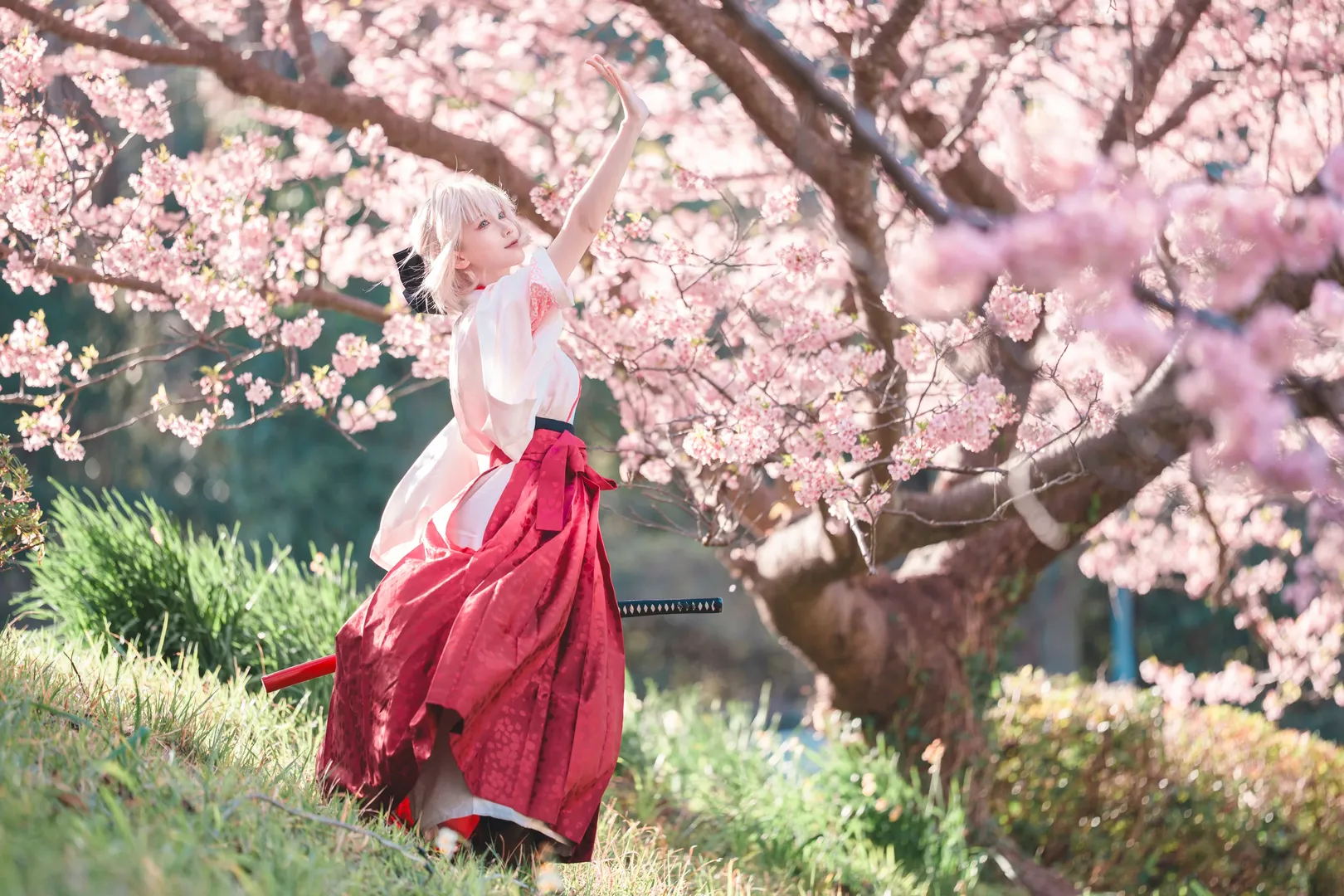 二次元摄影, Fate/Grand Order, 冲田总司cos, 和风cosplay, 樱花写真 - 第4张