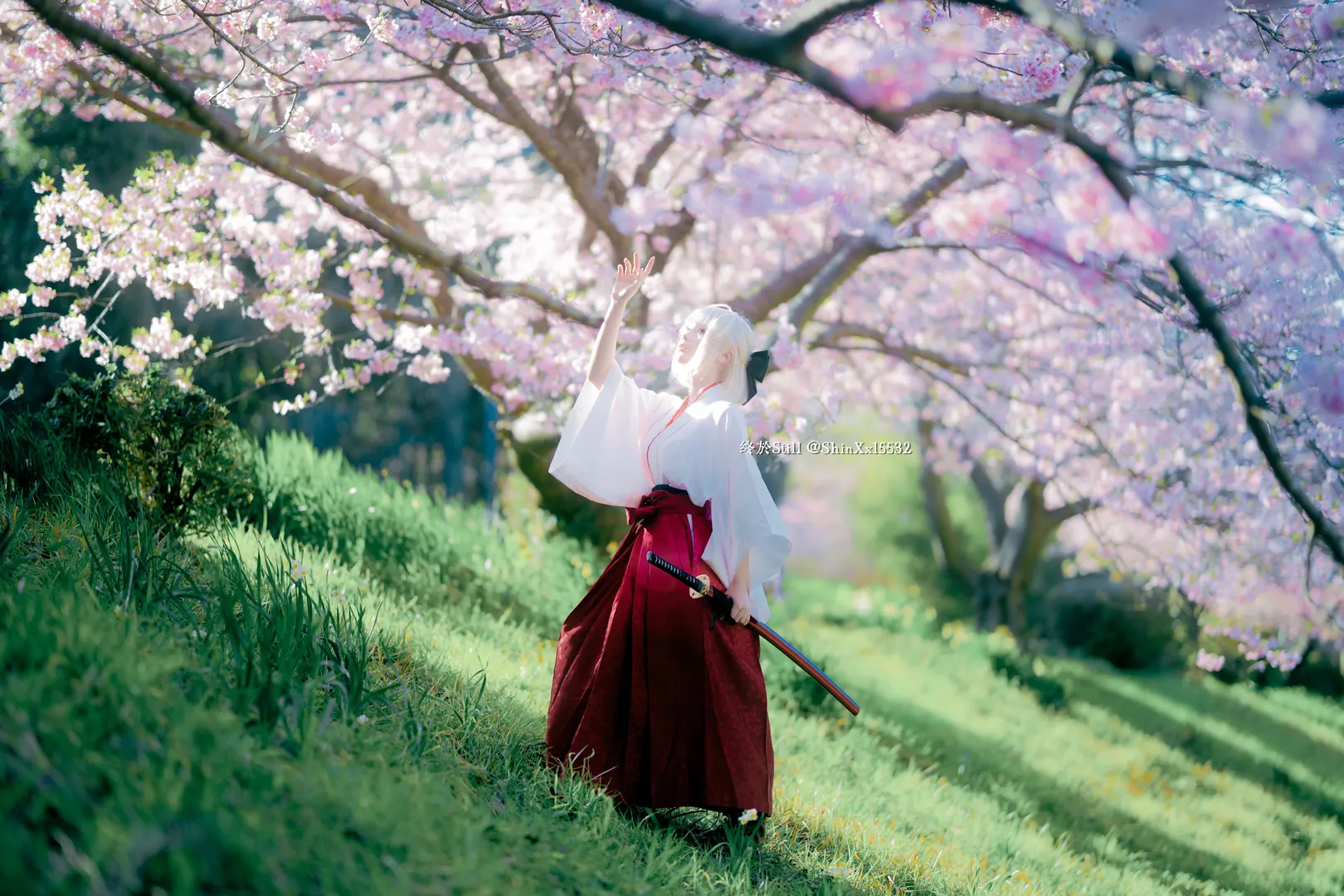 Cosplay摄影, FGO, 冲田总司cos, 樱花外景, 和风cosplay - 第3张