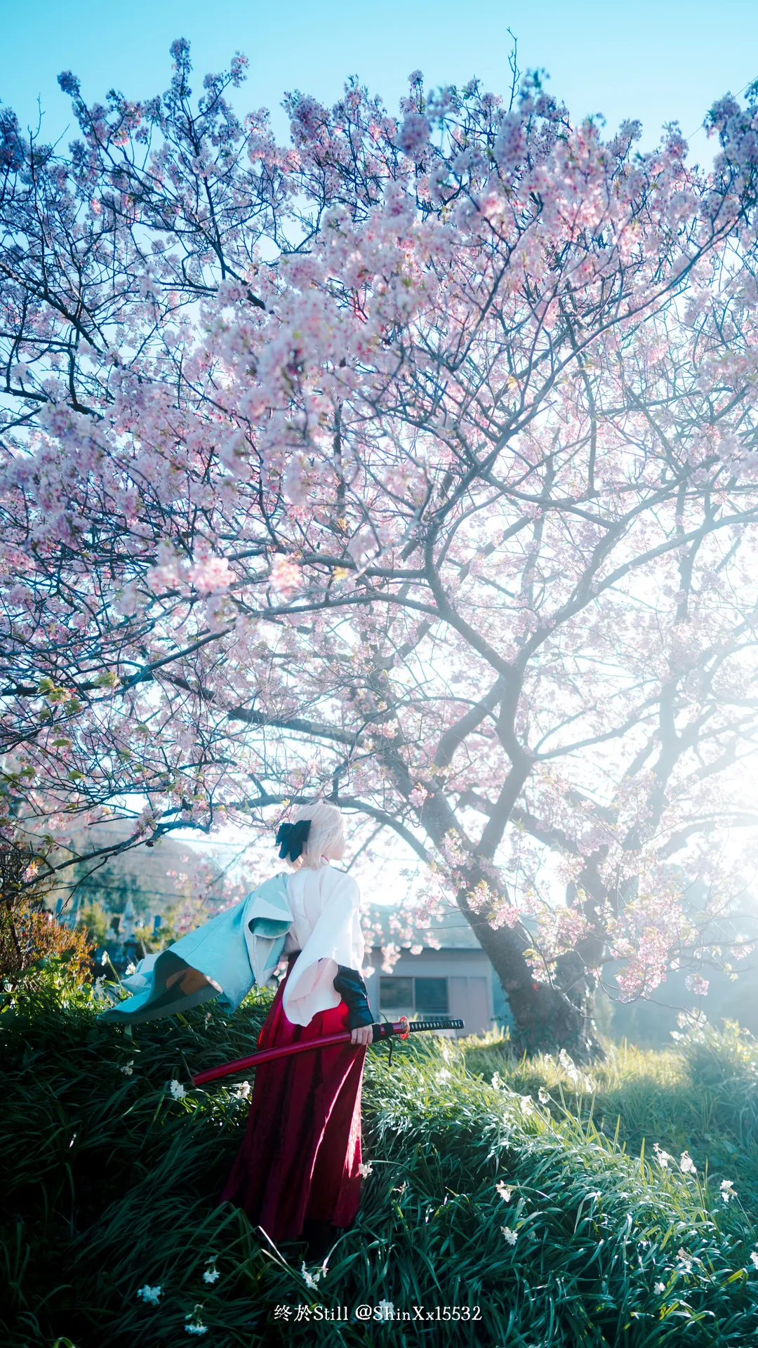 氛圍感攝影, Fate/Grand Order, 沖田總司cos, 櫻花外景, 羽織和服