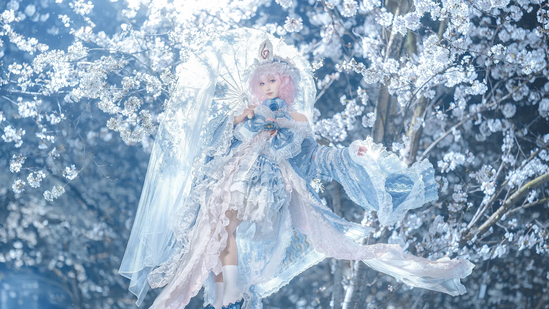 东方project, 西行寺幽幽子cos, 车万, 夜樱外景, 白蓝洛丽塔 - 第4张