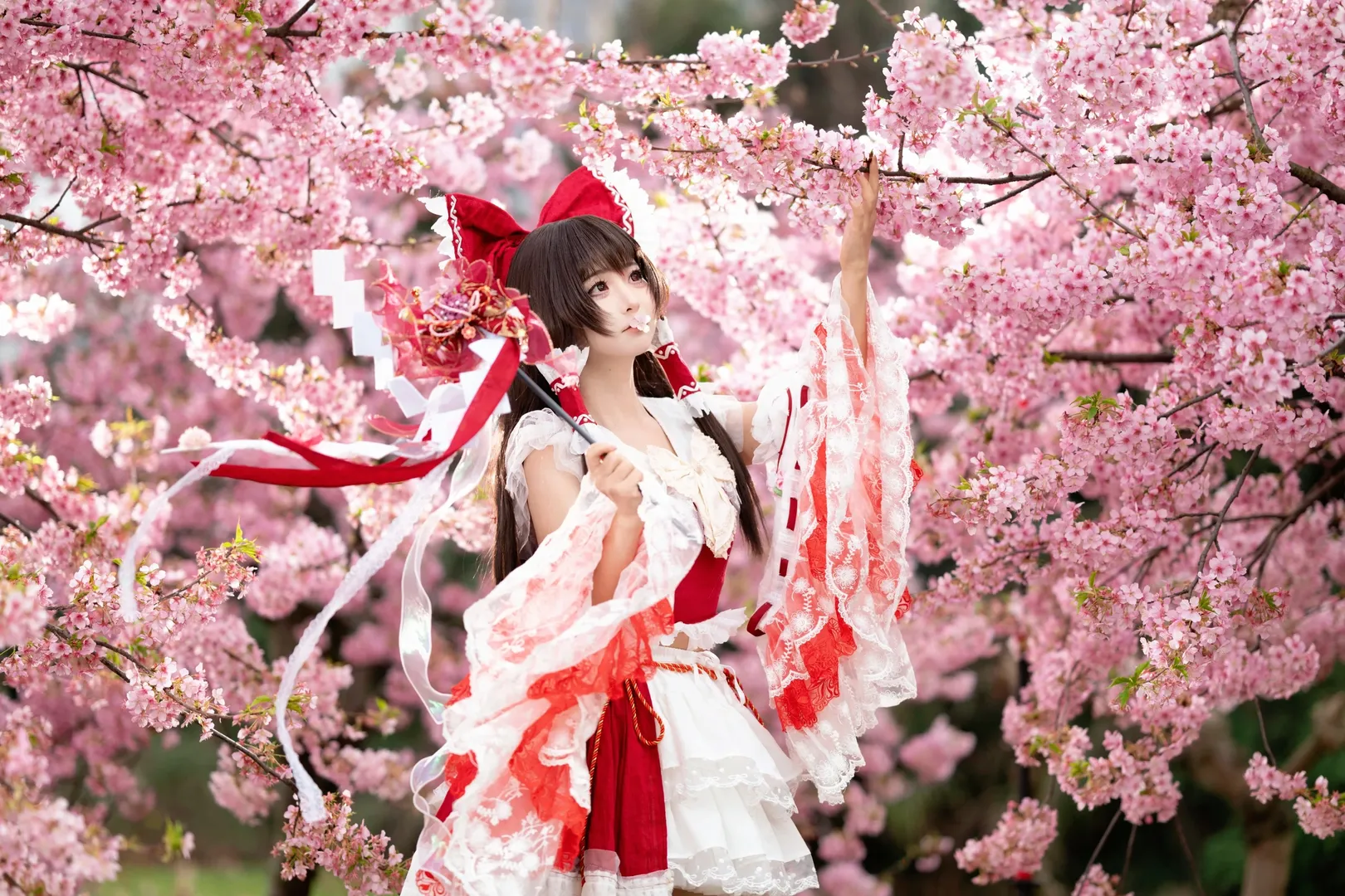 二次元摄影, 博丽灵梦cos, 东方project, 红白巫女, 樱花写真 - 第4张