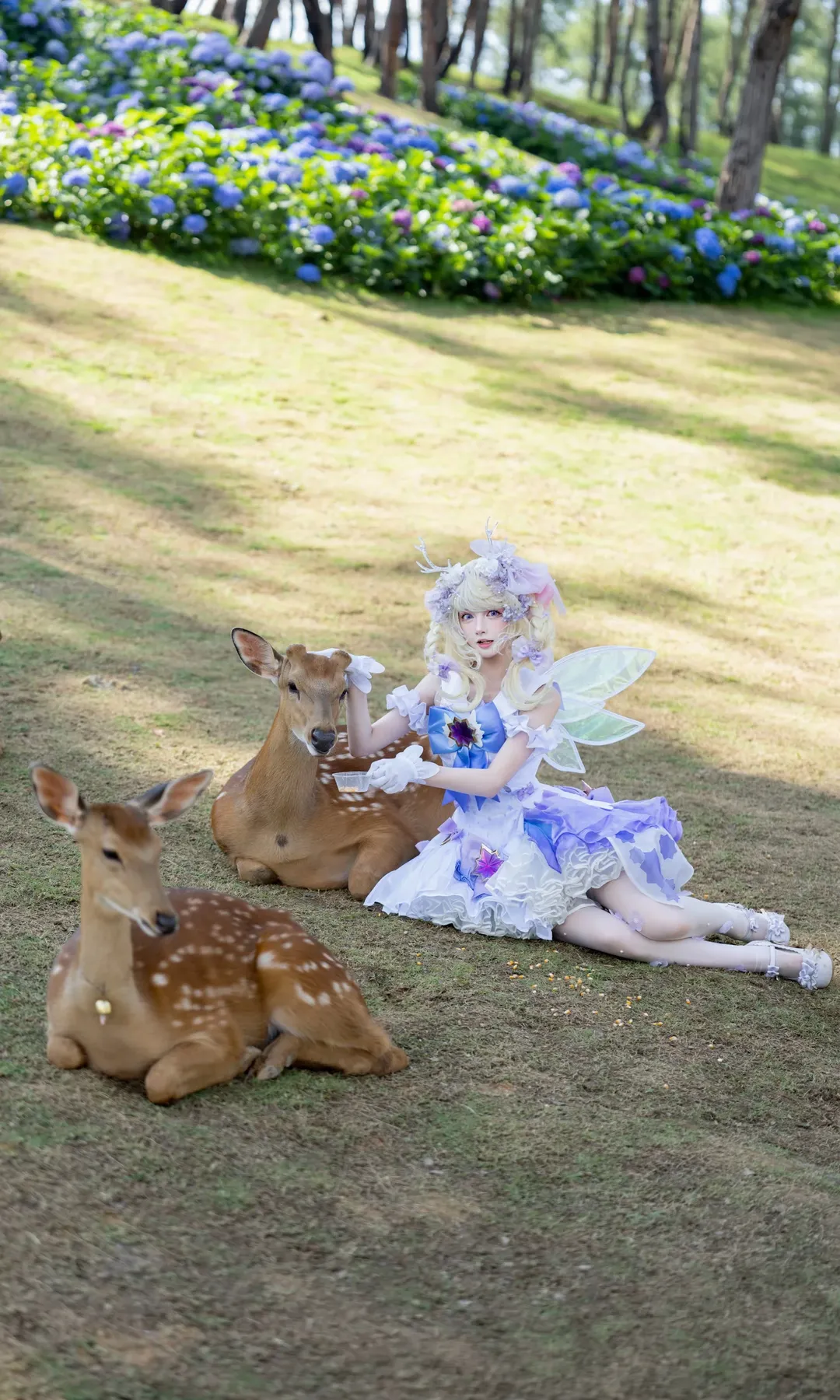 二次元の雰囲気, エルフ コスプレ, 紫陽花写真, 屋外ポートレート撮影, 幻想的で仙女のようなスタイル - 11枚目
