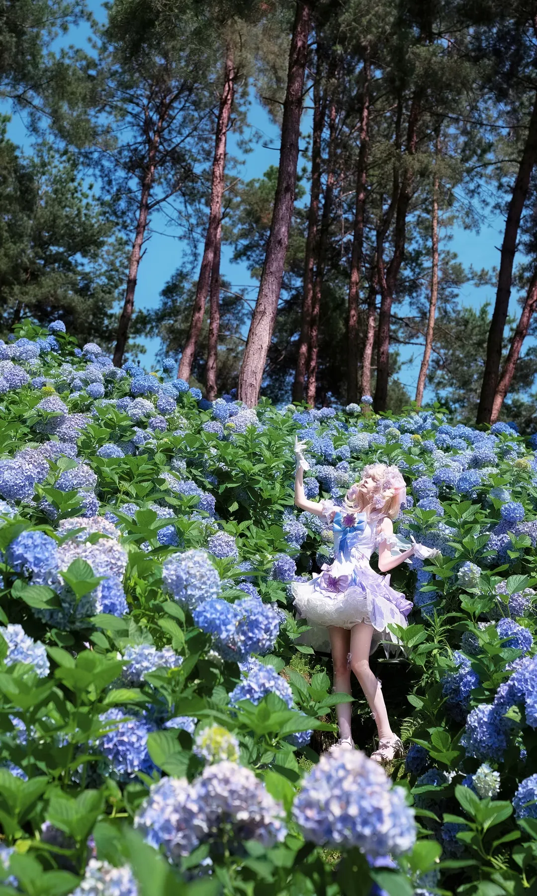 二次元の雰囲気, エルフ コスプレ, 紫陽花写真, 屋外ポートレート撮影, 幻想的で仙女のようなスタイル - 12枚目