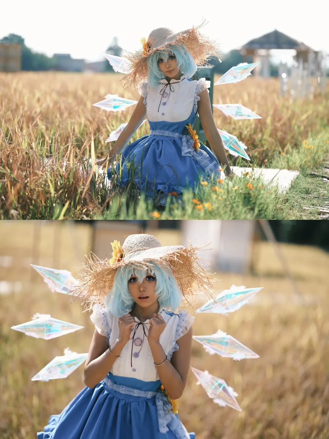 东方project, cosplay摄影, 琪露诺cos, 二次元装扮, 稻田外景 - 第1张
