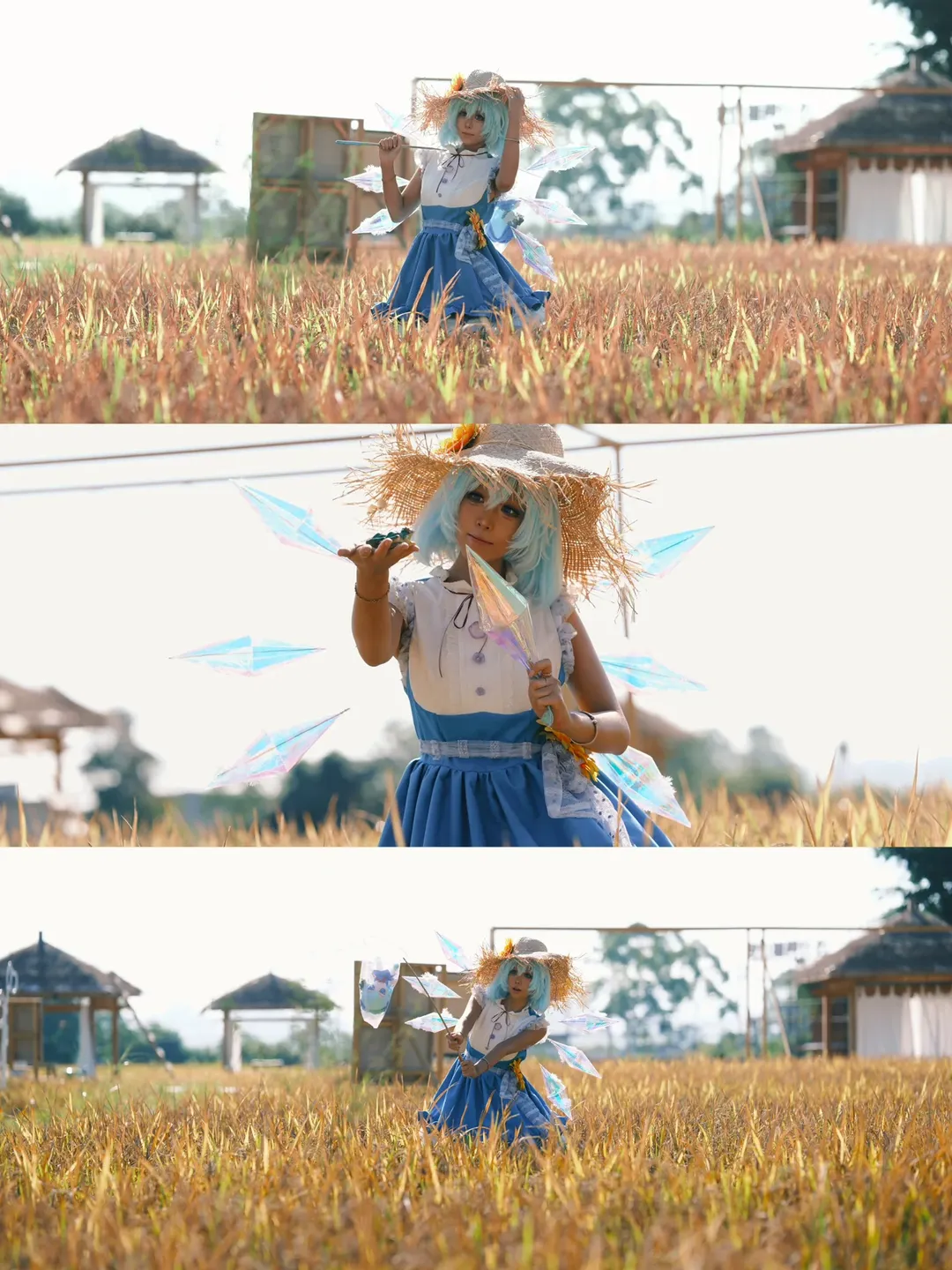东方project, cosplay摄影, 琪露诺cos, 二次元装扮, 稻田外景 - 第2张