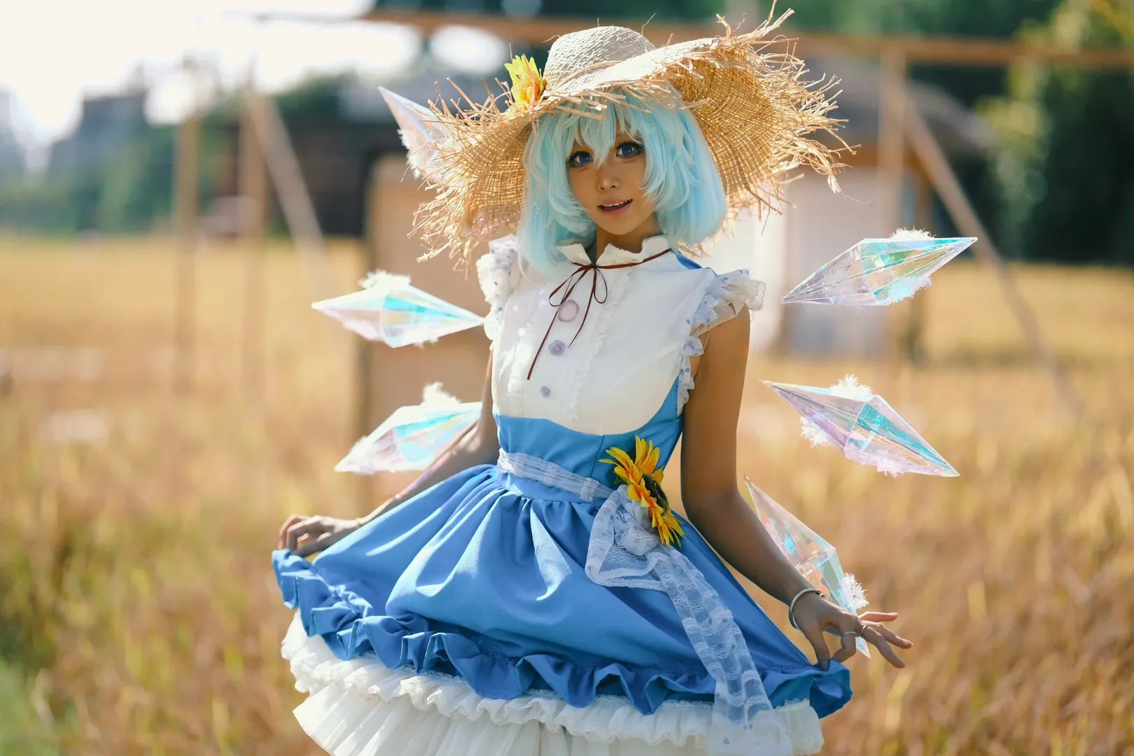 東方Project, コスプレ撮影, チルノコスプレ, 二次元ファッション, 田んぼロケ