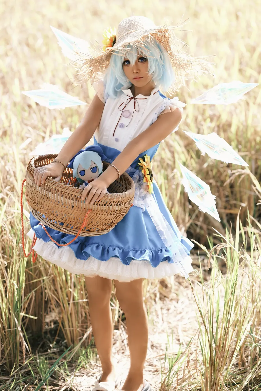 东方project, cosplay摄影, 琪露诺cos, 二次元装扮, 稻田外景 - 第5张