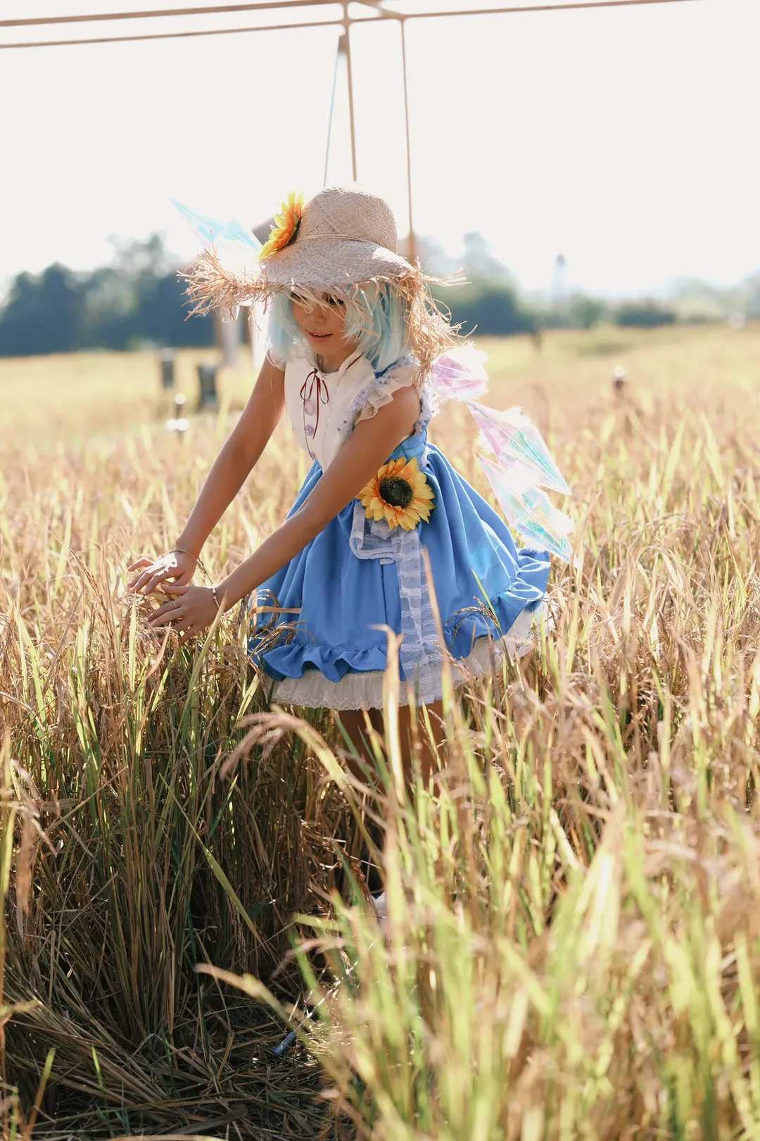 东方project, cosplay摄影, 琪露诺cos, 二次元装扮, 稻田外景 - 第6张