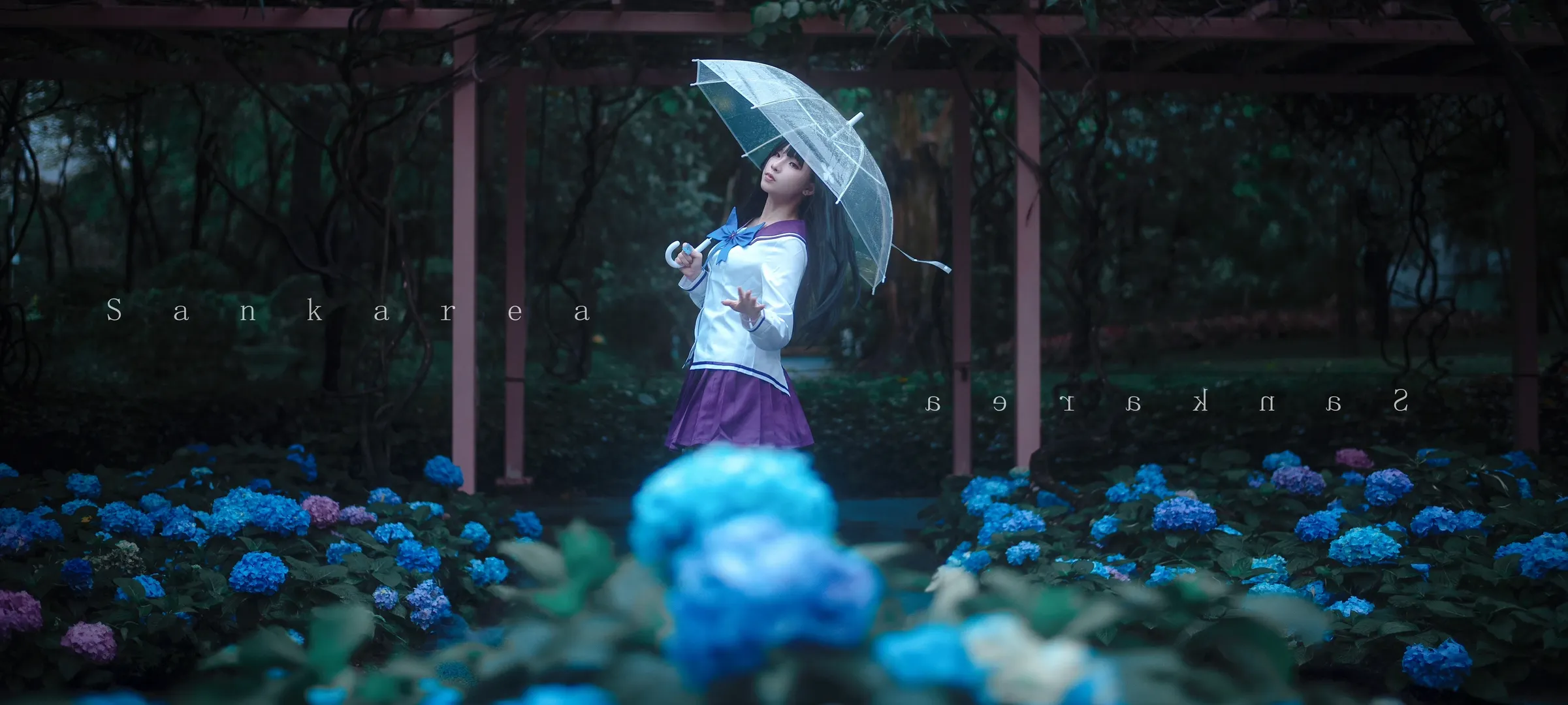 散华礼弥cos, cosplay摄影, 散华礼弥, 绣球花写真, 雨伞氛围感 - 第1张