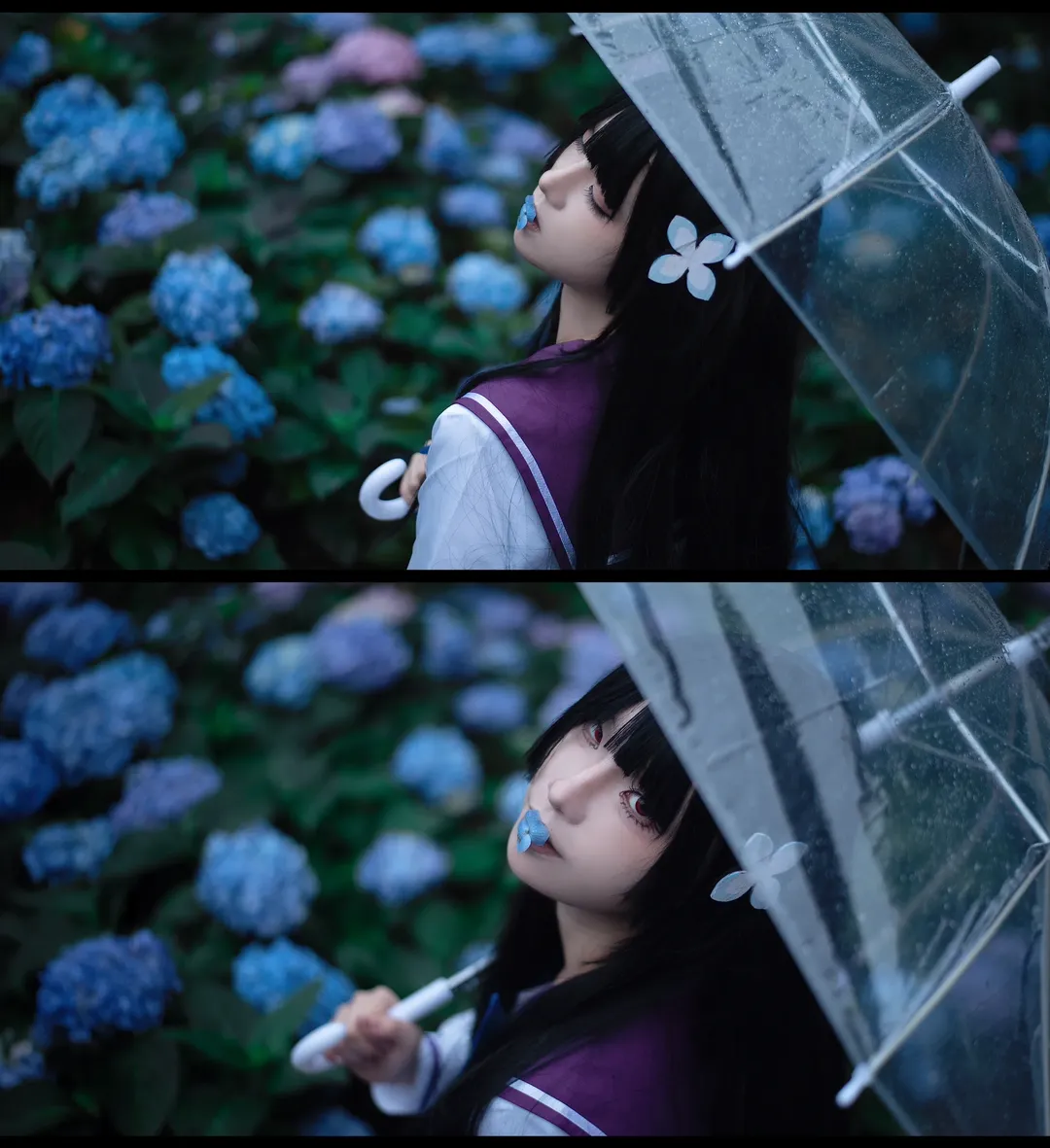散华礼弥cos, cosplay摄影, 散华礼弥, 绣球花写真, 雨伞氛围感 - 第5张