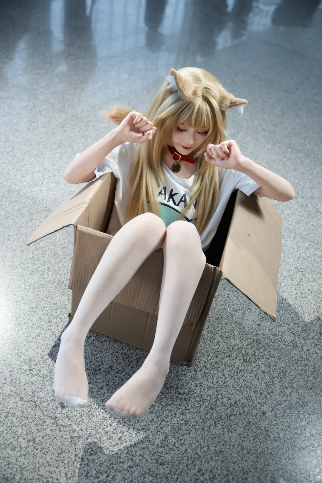漫展场照, 白丝穿搭, 成都世界线, 黄豆粉猫娘cos, 箱子里长猫 - 第1张