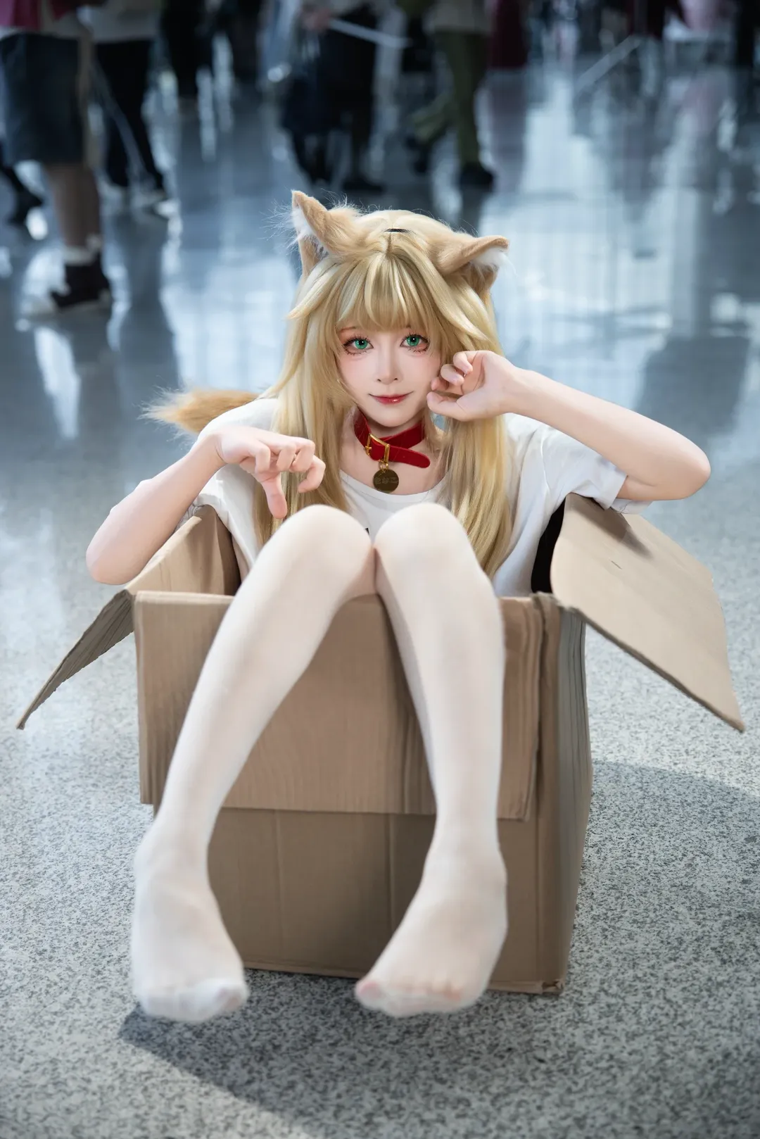 Convention photos, White thigh-highs outfit, Chengdu Worldline Animation and Comic Exhibition, Kinako cat girl cosplay, Cat growing in a box