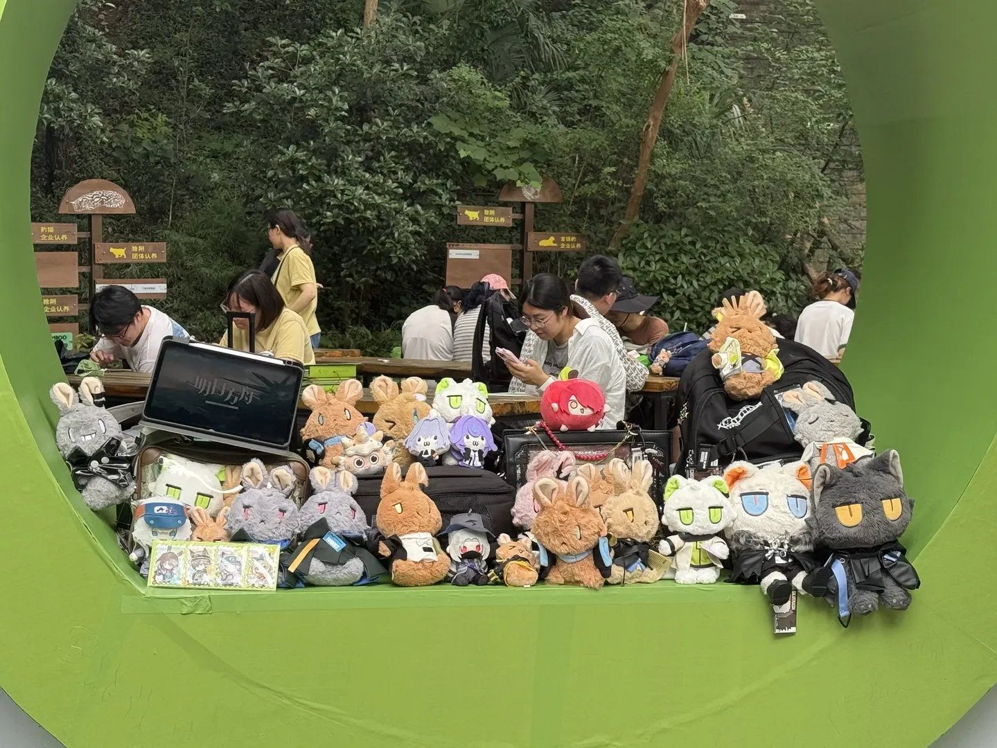 アークナイツ, アーミヤ コスプレ, 紅山動物園コラボ, 夏イベントコスプレ, 屋外コスプレ - 8枚目