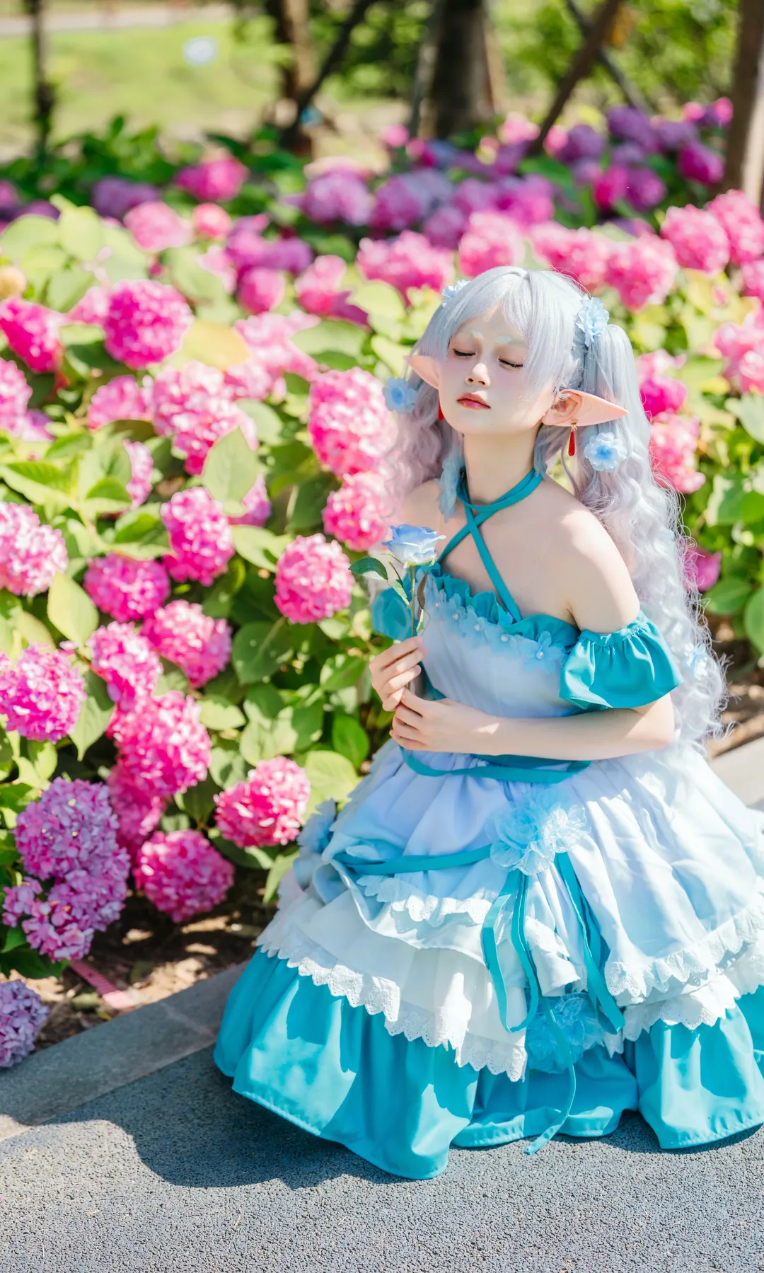 绣球花, 葬送的芙莉莲, 芙莉莲cos, 精灵耳, 无尽夏 - 第5张