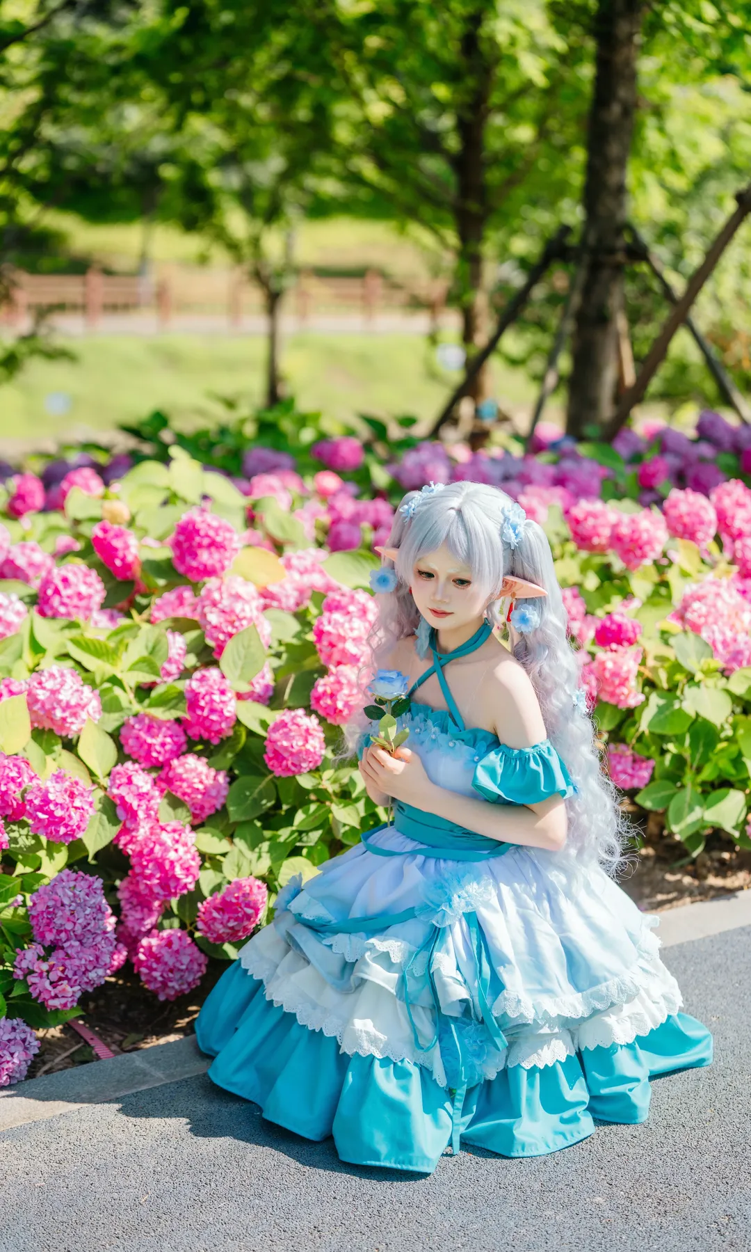 绣球花, 葬送的芙莉莲, 芙莉莲cos, 精灵耳, 无尽夏 - 第8张