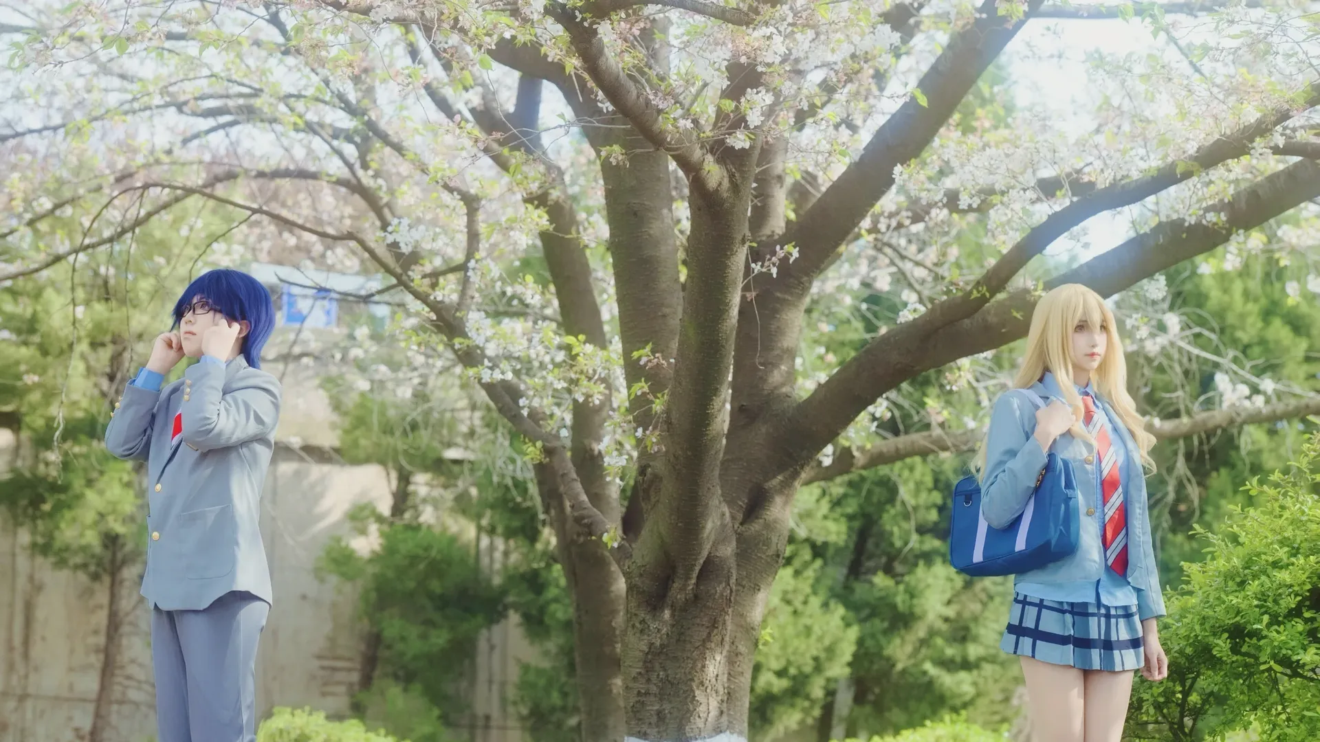 Miyazono Kaori cosplay, Your Lie in April, Violin cosplay, Spring cherry blossom cosplay, School uniform cosplay - Image 2