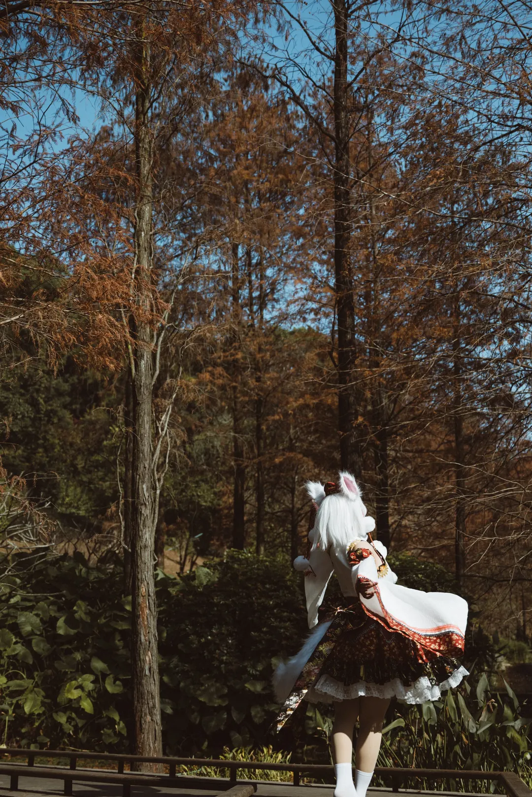 cosplay, 东方project, 和风, 正片, 犬走椛cos - 第5张