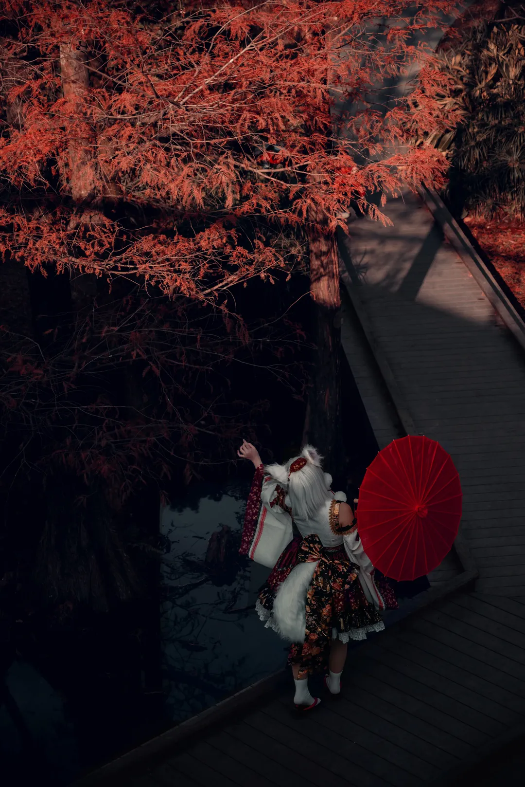 cosplay, 东方project, 和风, 正片, 犬走椛cos - 第7张