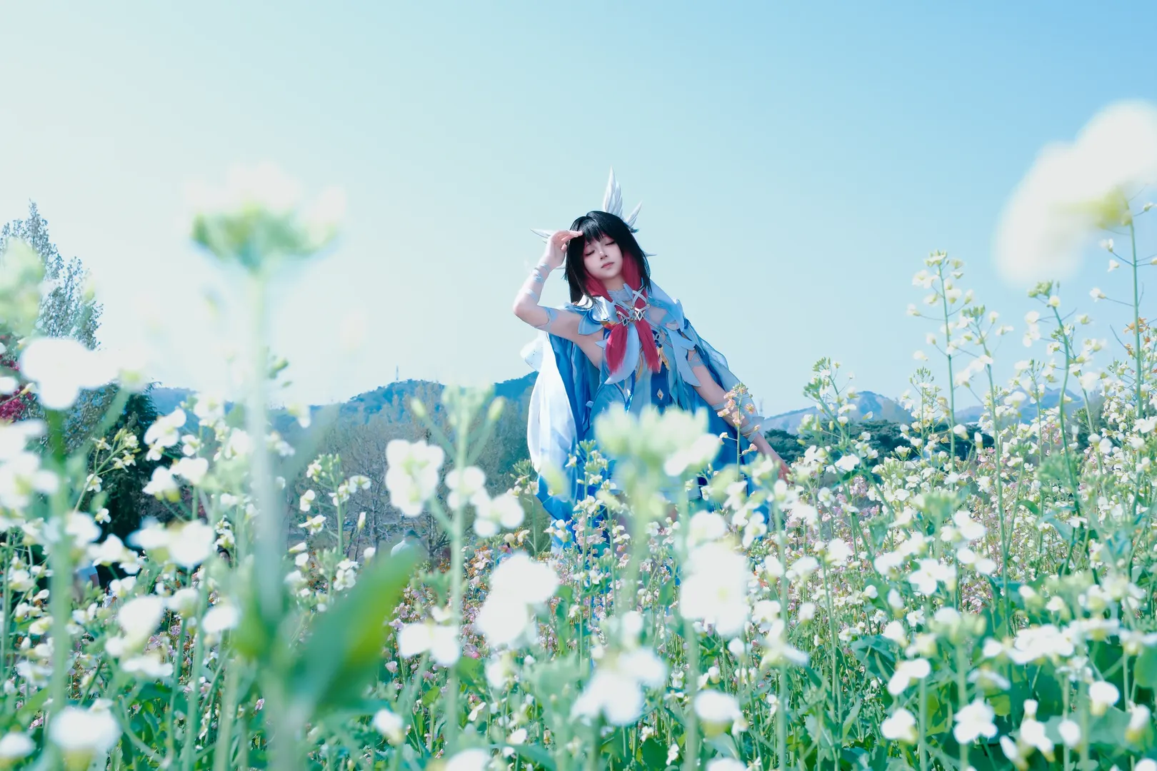 原神, 哥伦比娅cos, 花海写真, 低角度拍摄, cosplay户外 - 第1张