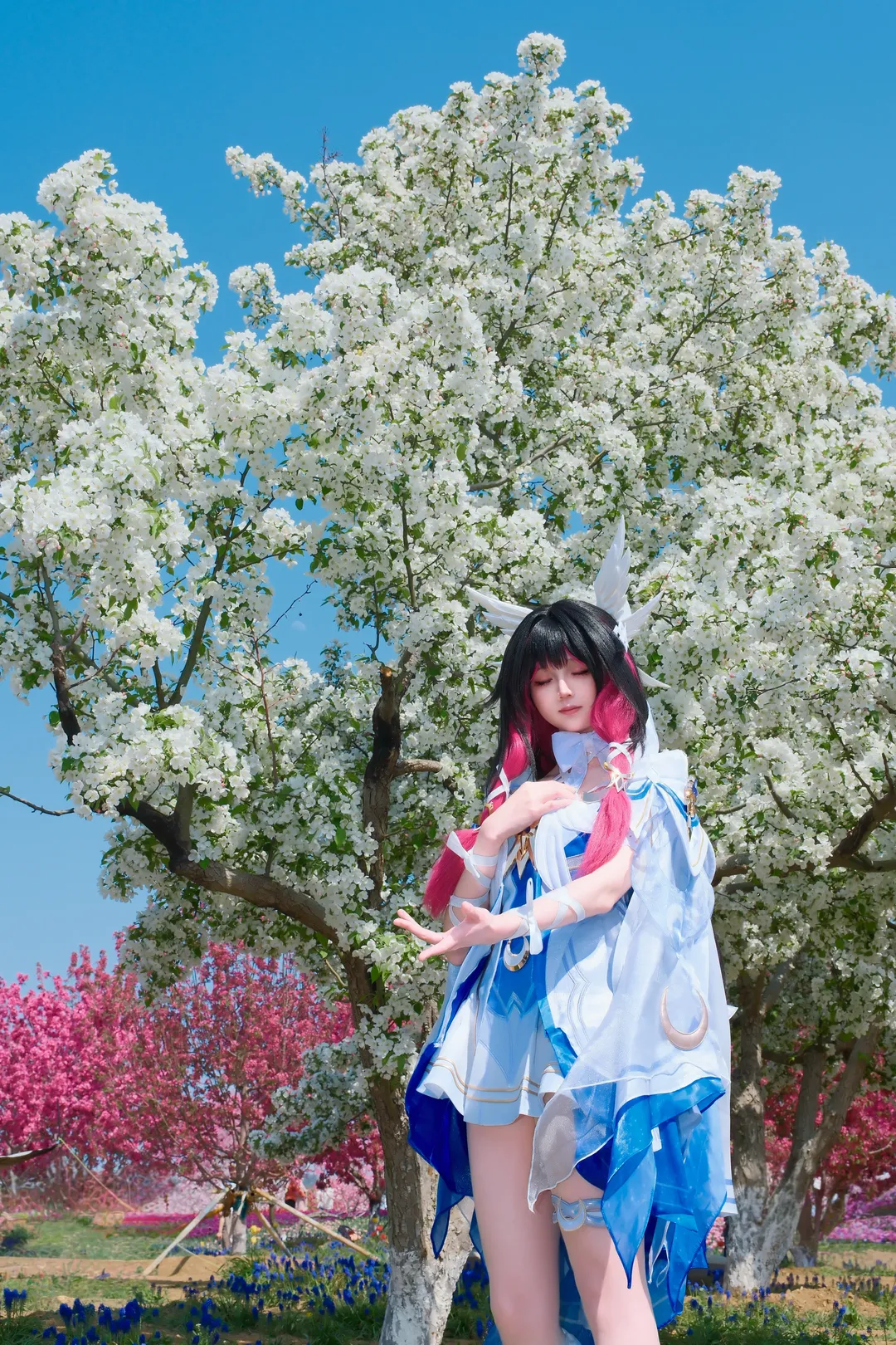 哥伦比娅cos, 二次元少女, cosplay正片, 花海写真, 绝美户外 - 第6张