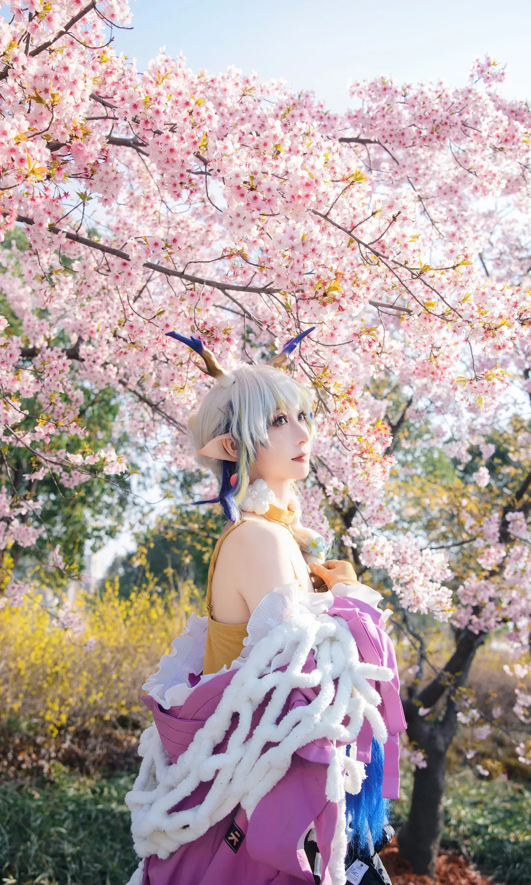 二次元コスプレ, シュウ コスプレ, アークナイツ, 桜撮影, 顧村公園 - 2枚目