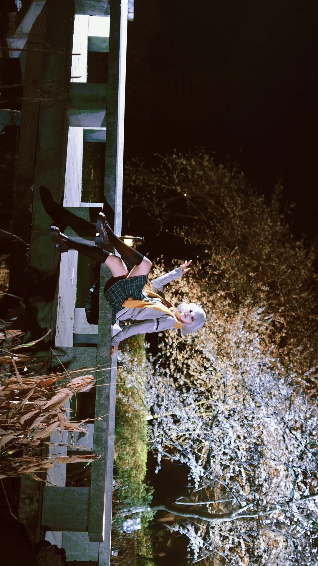 Anime-style photography, Arknights, Casual cosplay, Specter the Unchained cosplay, Night view of cherry blossoms - Image 1