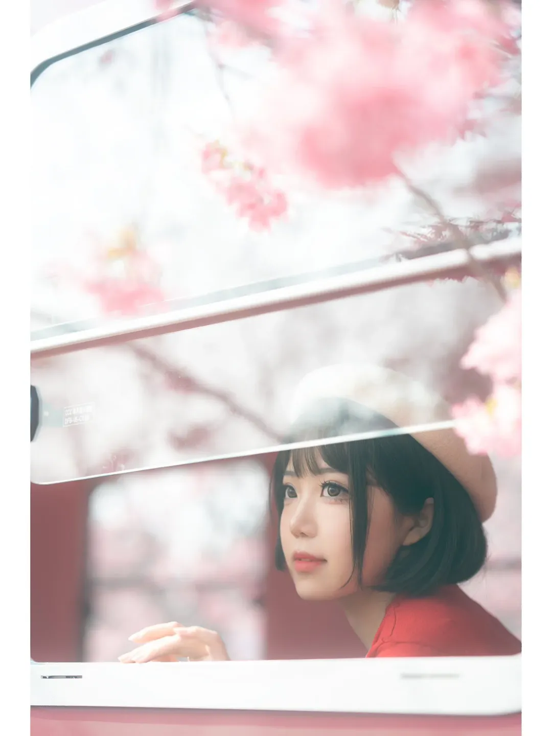 Megumi Kato Cosplay, Saekano: How to Raise a Boring Girlfriend, Cherry blossom portrait, Chengdu photoshoot request, Spring girl portrait - Image 1