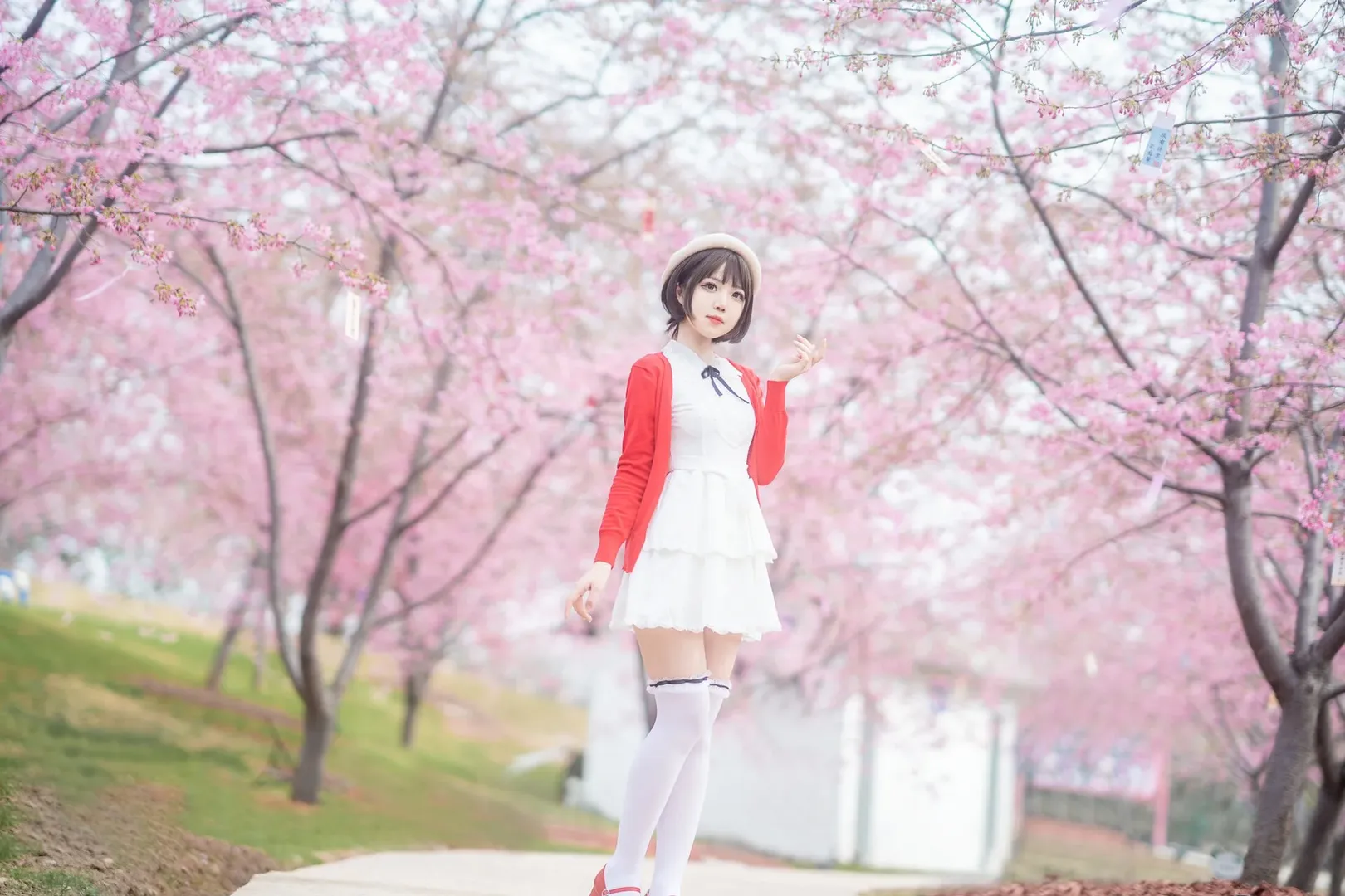 Megumi Kato Cosplay, Saekano: How to Raise a Boring Girlfriend, Cherry blossom portrait, Chengdu photoshoot request, Spring girl portrait - Image 16
