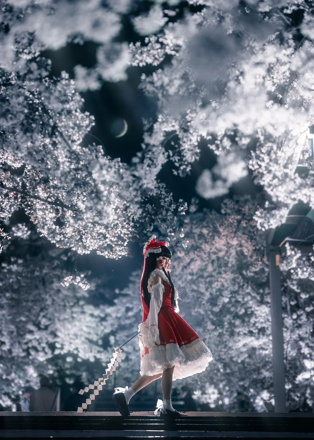 Reimu Hakurei Cosplay, Touhou Project, Girl photography, Portrait photography, Night cherry blossom photography - Image 1