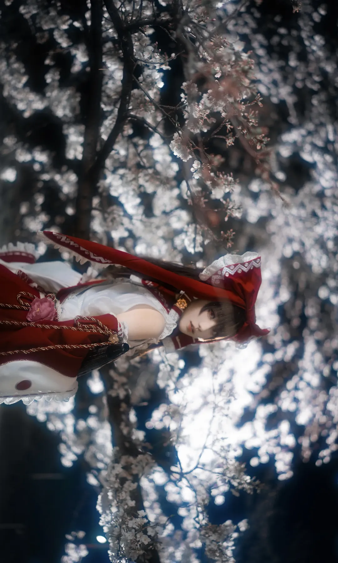 二次元摄影, 博丽灵梦cos, cos正片, 东方Project, 夜樱拍摄 - 第3张