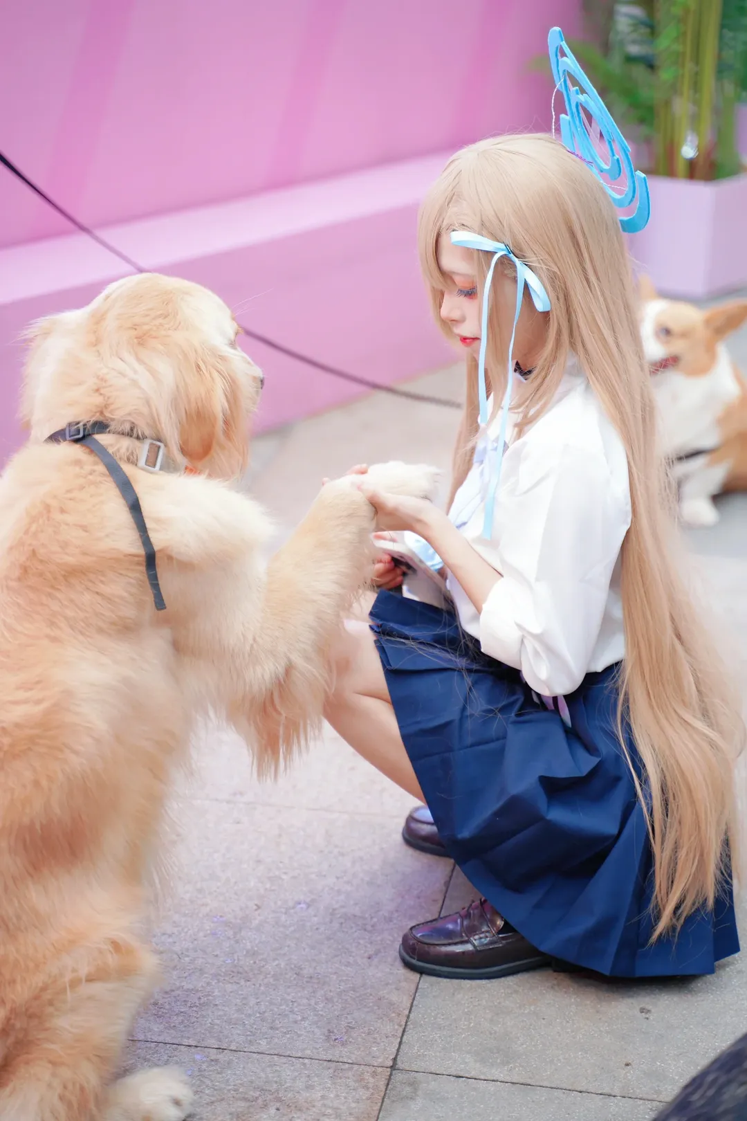 漫展返图, 碧蓝档案, 二次元cosplay, 明日奈cos, 金毛犬