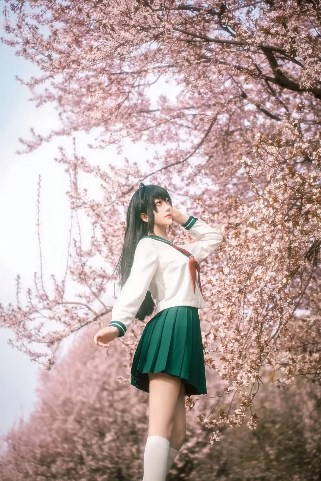 Cosplay摄影, 樱花外景, 犬夜叉, 日暮戈薇cos, 水手服JK - 第2张