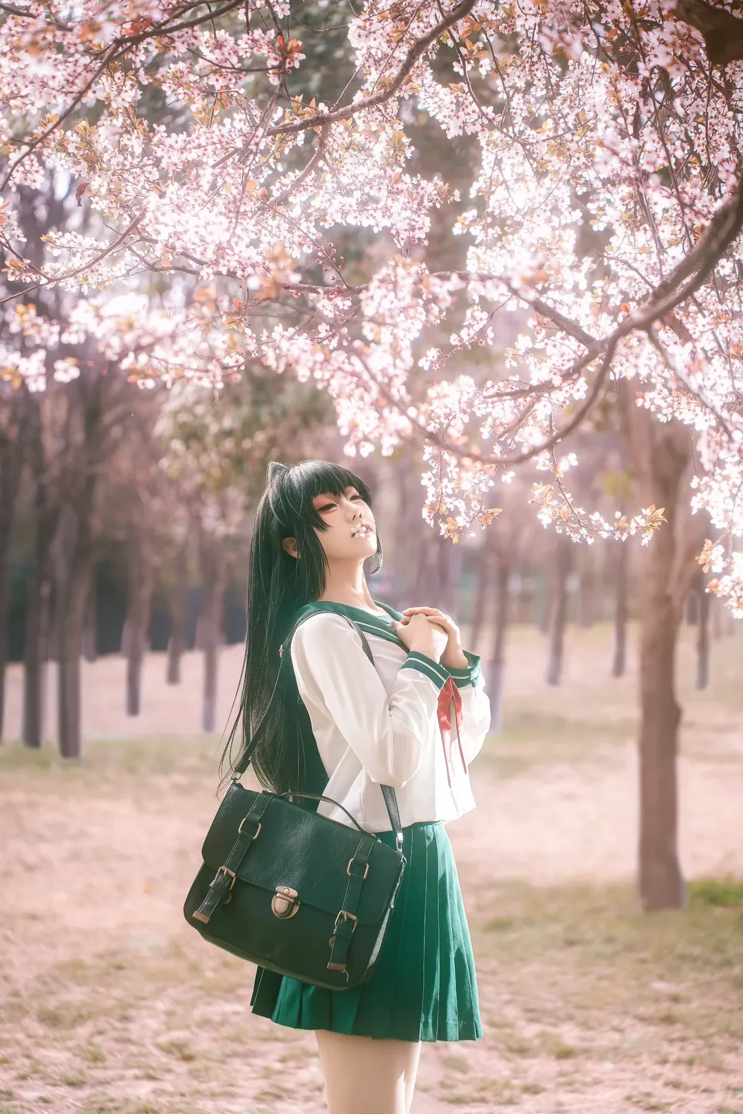 Cosplay摄影, 樱花外景, 犬夜叉, 日暮戈薇cos, 水手服JK - 第6张