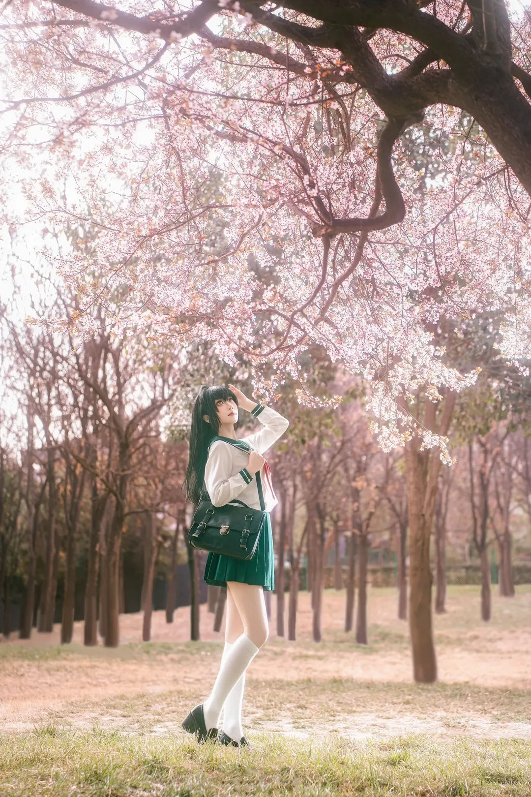 Cosplay摄影, 樱花外景, 犬夜叉, 日暮戈薇cos, 水手服JK - 第7张