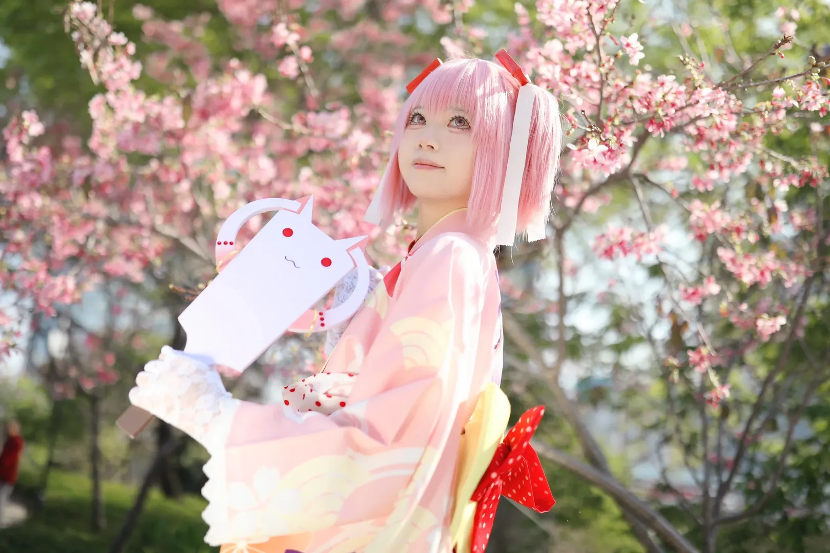 二次元少女, 鹿目圆cos, 魔法少女小圆, 春日樱花写真, 和服cosplay
